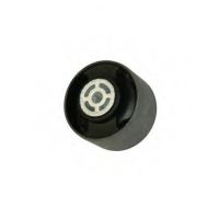 Sospensione posteriore del motore