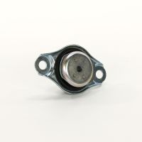 Sospensione del motore sul lato anteriore sinistro