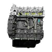 Blocco motore nudo con testa cilindro e coppa dell'olio