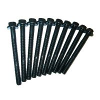 Set viti a testa cilindrica