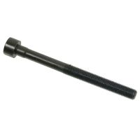 Set viti a testa cilindrica Ribe