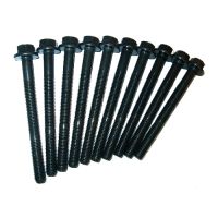 Viti a testa cilindrica appiccare il fuoco 8 V