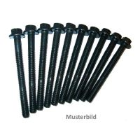 Set viti a testa cilindrica con torx esterno