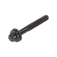 Vite della testata del cilindro M8X1.25X57