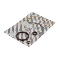 Guarnizione set carter motore