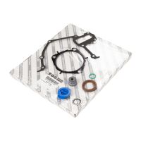 Guarnizione set carter motore