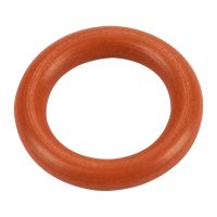 Anello di tenuta dell'asta dell'olio, in basso