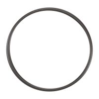 Anello di tenuta sulla pompa d'iniezione