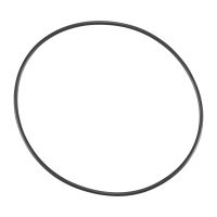 Anello di tenuta sulla scatola del filtro dell'aria