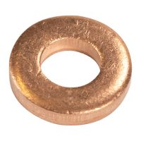 Anello di tenuta, valvola di iniezione