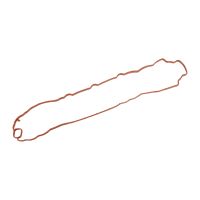 Guarnizione separatore vapori olio