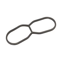 guarnizione del filtro dell'olio
