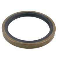 Paraolio albero motore posteriore