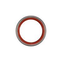 Paraolio albero a camme 55 x 70 x 8 FPM