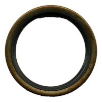 Paraolio motore posteriore