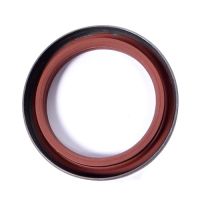 Paraolio Paraolio Azionamento pompa 70 x50 x10