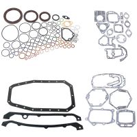 Set guarnizioni motore con anello di tenuta albero