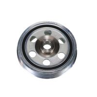 Puleggia Ammortizzatore di vibrazioni