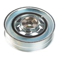 Smorzatore di vibrazioni della puleggia