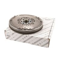 Volano con smorzatore di vibrazioni