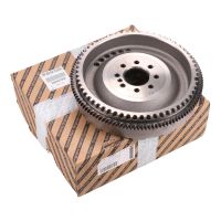 Volano con smorzatore di vibrazioni