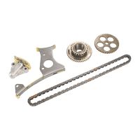 Catena della pompa dell'olio