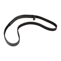 Cinghia di distribuzione 146 denti 24 mm OE