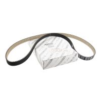 Cinghia dentata originali