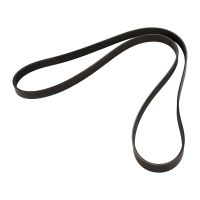 Cinghia di distribuzione