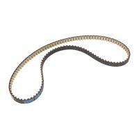 cinghia di distribuzione