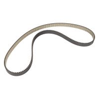 Cinghia di distribuzione