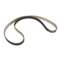 cinghia di distribuzione