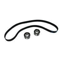 Set cinghia dentata con 2 pulegge di rinvio DAYCO