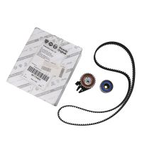 Set di cinghie dentate con 2 pulegge di rinvio