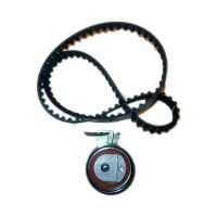 Set di cinghie dentate con 1 puleggia folle