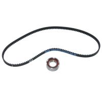 Set di cinghie dentate con 1 puleggia folle