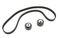 Kit cinghie dentate con 2 pulegge di rinvio