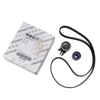 Set di cinghie dentate con 2 pulegge di rinvio