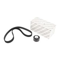 Cinghia dentata con 1 puleggia folle