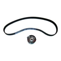 Set di cinghie dentate con 1 puleggia di rinvio DAYCO