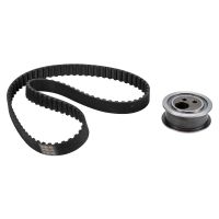 Set di cinghie dentate con 1 puleggia folle