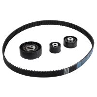 Set di cinghie dentate con 3 pulegge di rinvio