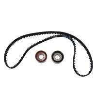 Set di cinghie dentate con 2 pulegge di rinvio