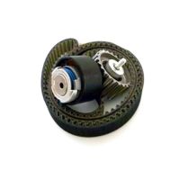 Set di cinghie dentate