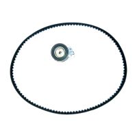 Set di cinghie dentate con 1 pulegge di rinvio