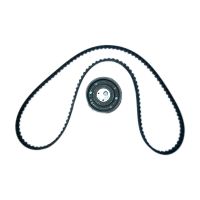 Set di cinghie dentate con 1 puleggia folle