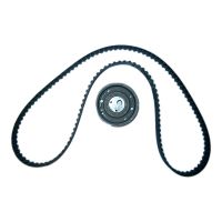 Set di cinghie dentate con 1 puleggia folle