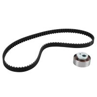 Set di cinghie dentate con 1 puleggia folle