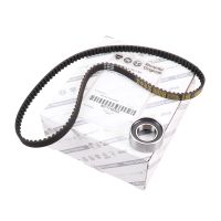 Set di cinghie dentate con 1 puleggia folle