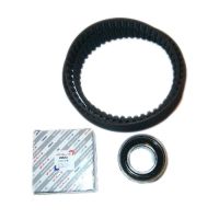 Set di cinghie dentate con 1 puleggia di rinvio DAYCO